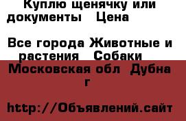 Куплю щенячку или документы › Цена ­ 3 000 - Все города Животные и растения » Собаки   . Московская обл.,Дубна г.